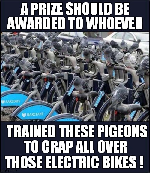 Well Trained Pigeons ! | A PRIZE SHOULD BE; AWARDED TO WHOEVER; TRAINED THESE PIGEONS; TO CRAP ALL OVER THOSE ELECTRIC BIKES ! | image tagged in fun,pigeons,electric bicycles,training | made w/ Imgflip meme maker