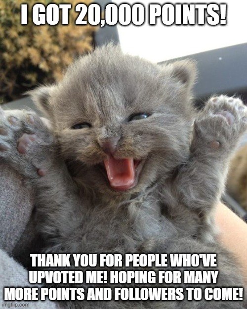 Thank you for the 20,000 points, for everyone who's upvoted me, etc. | I GOT 20,000 POINTS! THANK YOU FOR PEOPLE WHO'VE UPVOTED ME! HOPING FOR MANY MORE POINTS AND FOLLOWERS TO COME! | image tagged in yay kitty | made w/ Imgflip meme maker