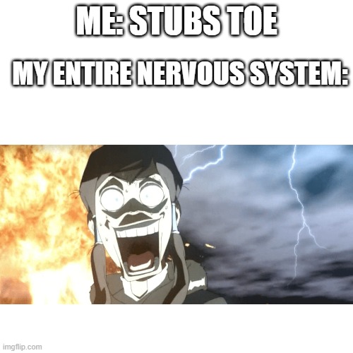 Why does this exist? | MY ENTIRE NERVOUS SYSTEM:; ME: STUBS TOE | image tagged in memes,blank transparent square,the legend of korra,oh wow are you actually reading these tags | made w/ Imgflip meme maker