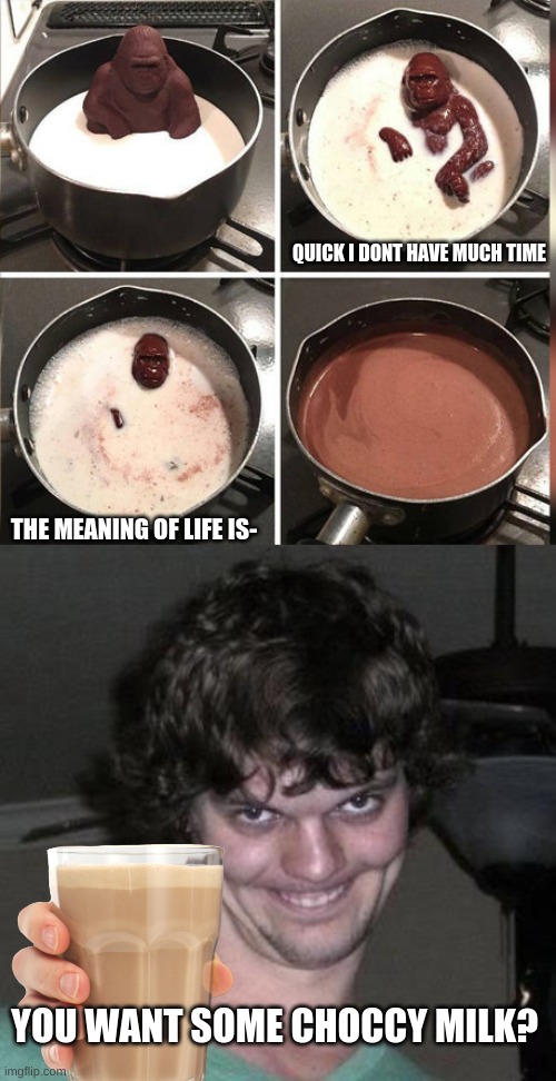 nothing wrong here | QUICK I DONT HAVE MUCH TIME; THE MEANING OF LIFE IS-; YOU WANT SOME CHOCCY MILK? | image tagged in hey kid i don't have much time,creepy guy | made w/ Imgflip meme maker