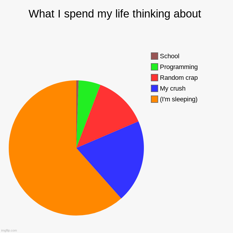 My thoughts | What I spend my life thinking about | (I'm sleeping), My crush, Random crap, Programming, School | image tagged in charts,pie charts | made w/ Imgflip chart maker
