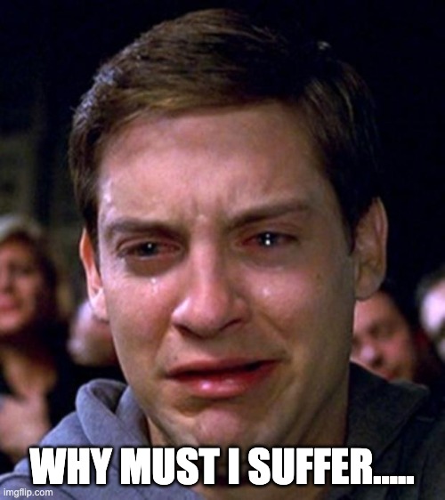 crying peter parker | WHY MUST I SUFFER..... | image tagged in crying peter parker | made w/ Imgflip meme maker