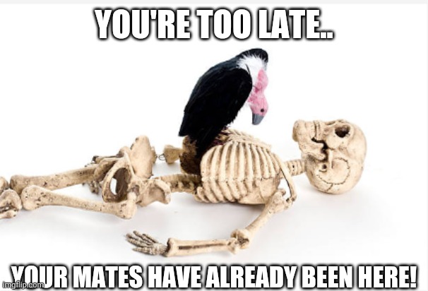 YOU'RE TOO LATE.. YOUR MATES HAVE ALREADY BEEN HERE! | image tagged in too late for dinner | made w/ Imgflip meme maker