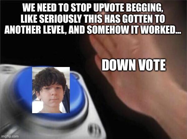 We need to end this once and for all | WE NEED TO STOP UPVOTE BEGGING, LIKE SERIOUSLY THIS HAS GOTTEN TO ANOTHER LEVEL, AND SOMEHOW IT WORKED... DOWN VOTE | image tagged in memes,blank nut button | made w/ Imgflip meme maker