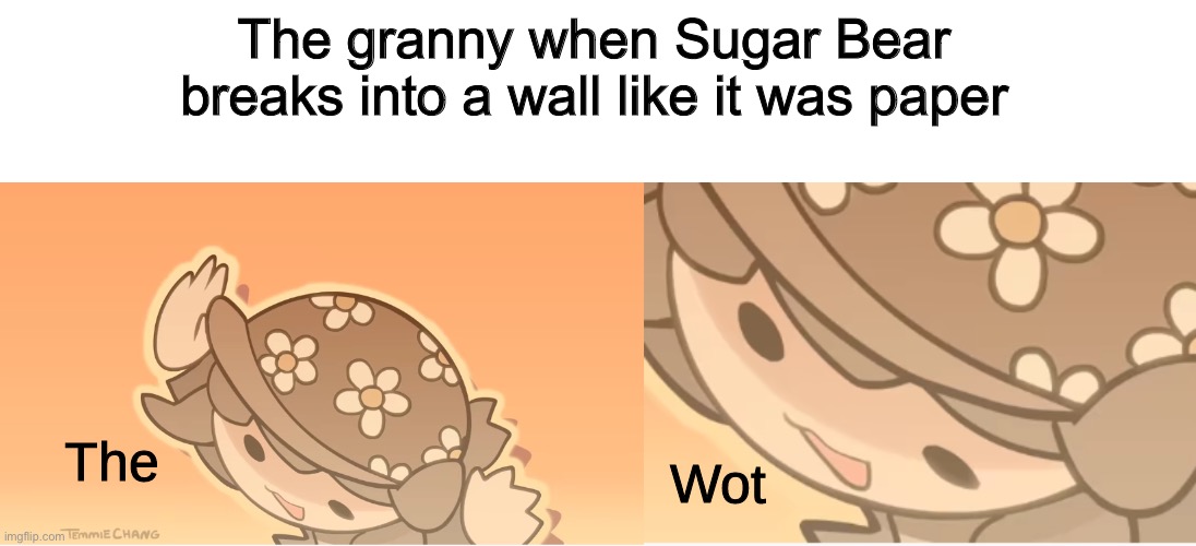 Tem the wot | The granny when Sugar Bear breaks into a wall like it was paper | image tagged in tem the wot | made w/ Imgflip meme maker