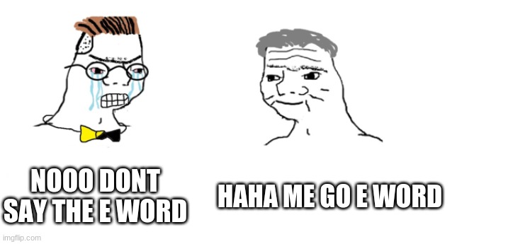 e | NOOO DONT SAY THE E WORD; HAHA ME GO E WORD | image tagged in nooo haha go brrr | made w/ Imgflip meme maker