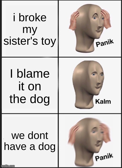 oh sit | i broke my sister's toy; I blame it on the dog; we dont have a dog | image tagged in memes,panik kalm panik | made w/ Imgflip meme maker