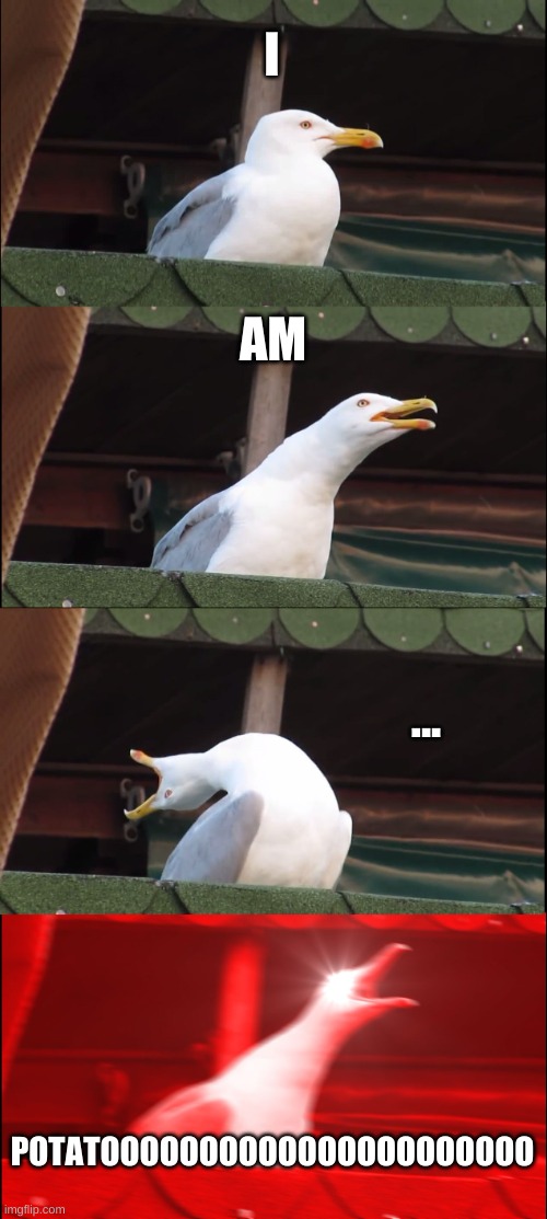 Inhaling Seagull | I; AM; ... POTATOOOOOOOOOOOOOOOOOOOOOO | image tagged in memes,inhaling seagull | made w/ Imgflip meme maker