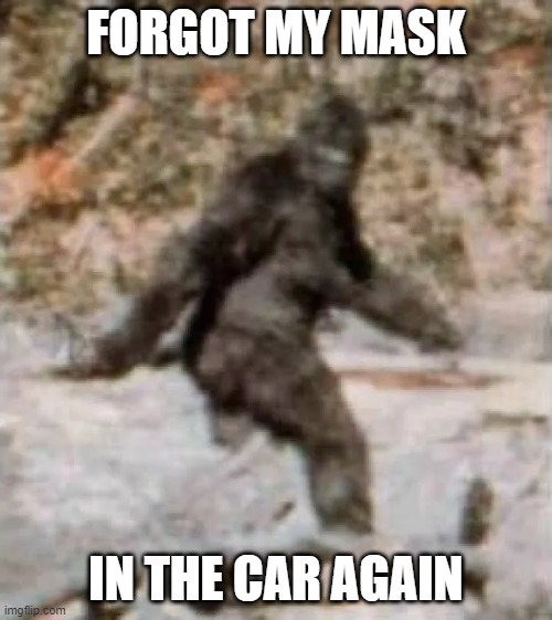 bigfoot mask | FORGOT MY MASK; IN THE CAR AGAIN | image tagged in funny | made w/ Imgflip meme maker