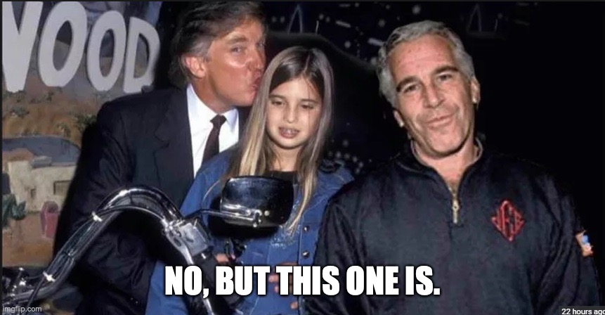 Trump and Epstein | NO, BUT THIS ONE IS. | image tagged in trump and epstein | made w/ Imgflip meme maker