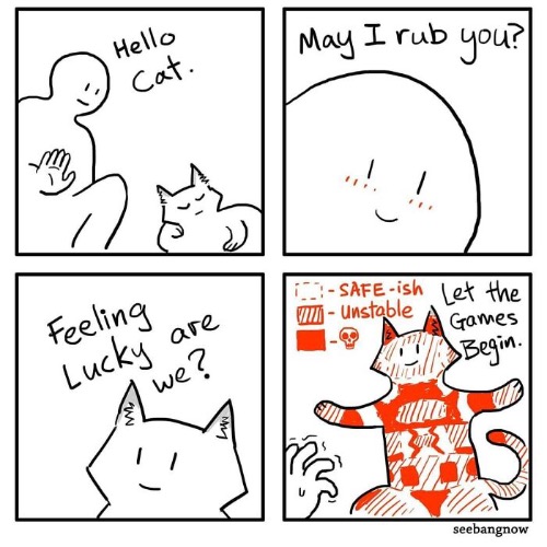 cats | image tagged in funny memes,comics/cartoons | made w/ Imgflip meme maker