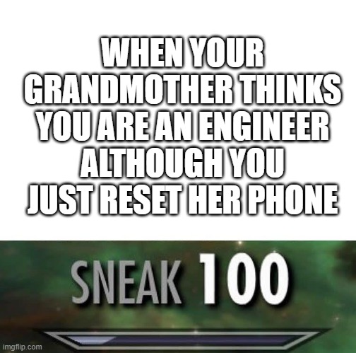 Sneak100 making a sneak 100 meme | WHEN YOUR GRANDMOTHER THINKS YOU ARE AN ENGINEER ALTHOUGH YOU JUST RESET HER PHONE | image tagged in sneak 100,grandma,engineer | made w/ Imgflip meme maker
