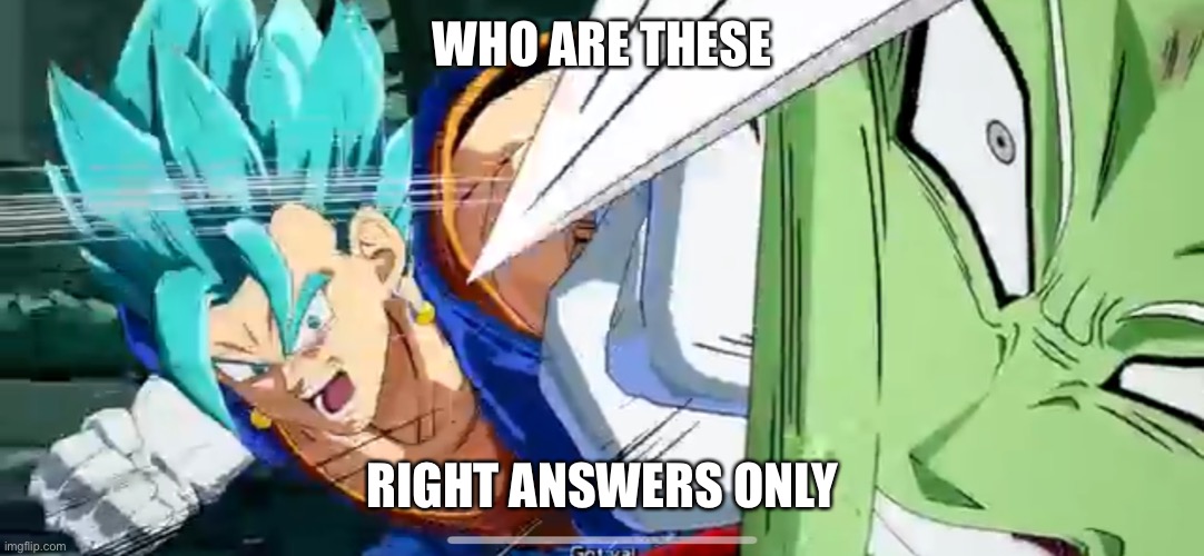 Vegito punching | WHO ARE THESE; RIGHT ANSWERS ONLY | image tagged in vegito punching | made w/ Imgflip meme maker