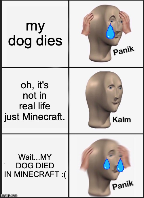 WHYYYYY NOOOOOOOO | my dog dies; oh, it's not in real life just Minecraft. Wait...MY DOG DIED IN MINECRAFT :( | image tagged in memes,panik kalm panik | made w/ Imgflip meme maker