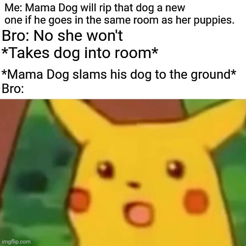 Surprised Pikachu Meme | Me: Mama Dog will rip that dog a new one if he goes in the same room as her puppies. Bro: No she won't
*Takes dog into room*; *Mama Dog slams his dog to the ground*
Bro: | image tagged in memes,surprised pikachu | made w/ Imgflip meme maker