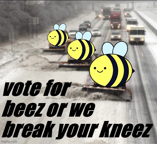 Vote Beez for infinite snowplows (& to keep kneez intact) | vote for beez or we break your kneez | image tagged in snow plows,snow,snow day,snow storm,bees,presidential race | made w/ Imgflip meme maker