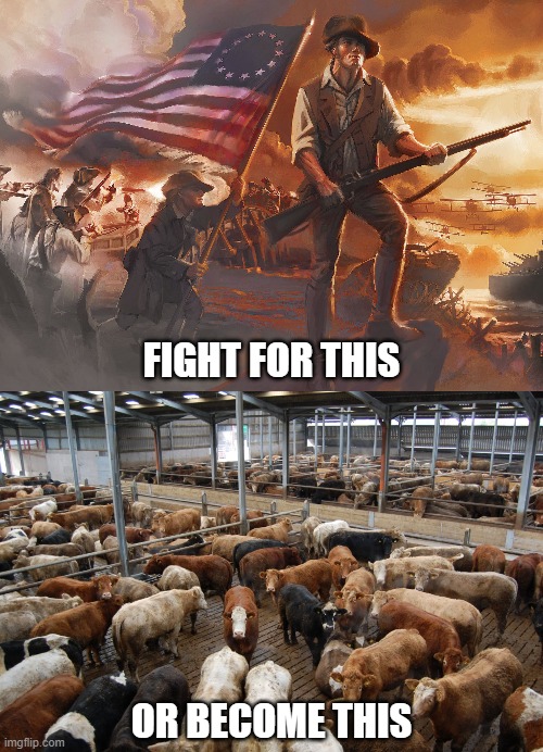I know how this story ends | FIGHT FOR THIS; OR BECOME THIS | image tagged in america,freedom,fight,tyranny | made w/ Imgflip meme maker