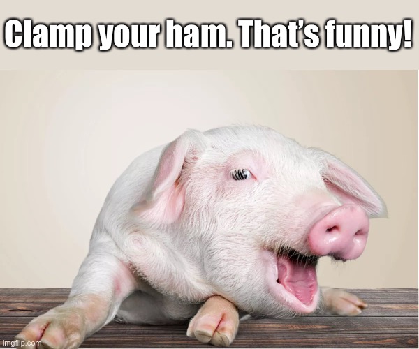 Clamp your ham. That’s funny! | made w/ Imgflip meme maker