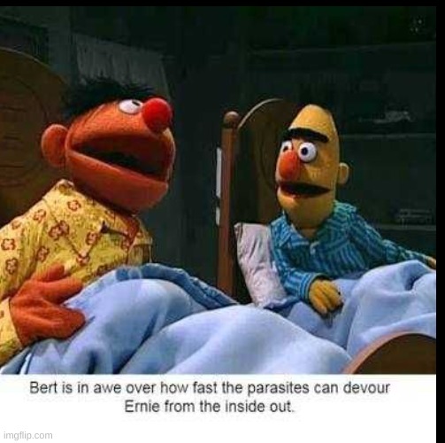 He is in awe | image tagged in ernie and bert | made w/ Imgflip meme maker