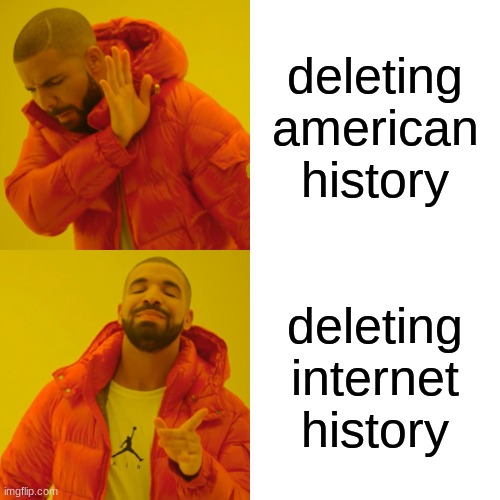 Noice |  deleting american history; deleting internet history | image tagged in memes,drake hotline bling | made w/ Imgflip meme maker