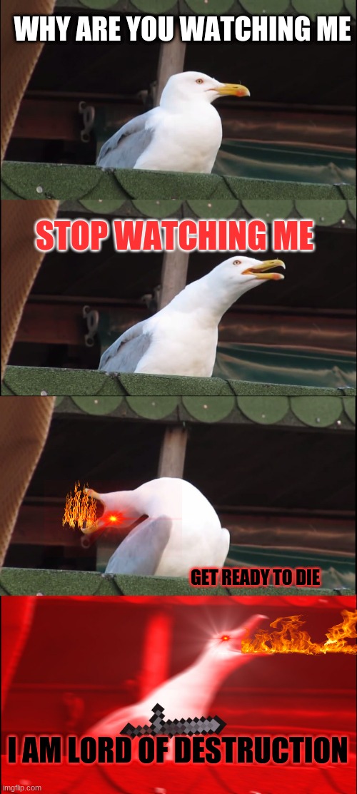 Lord of Destruction | WHY ARE YOU WATCHING ME; STOP WATCHING ME; GET READY TO DIE; I AM LORD OF DESTRUCTION | image tagged in memes,inhaling seagull | made w/ Imgflip meme maker