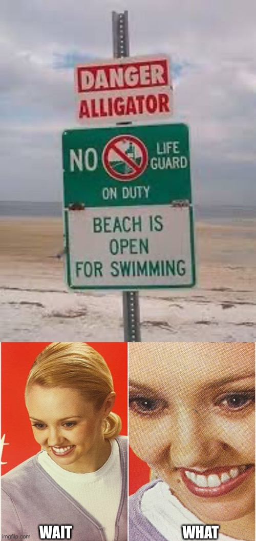 Oh my | WAIT; WHAT | image tagged in wait what,funny signs | made w/ Imgflip meme maker