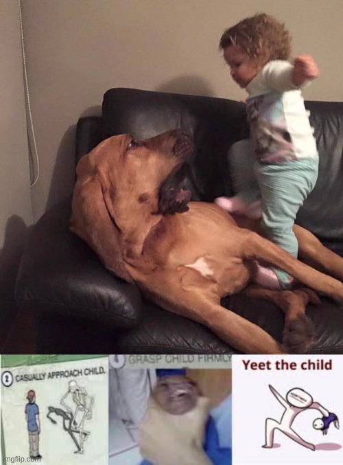 image tagged in yeet the child | made w/ Imgflip meme maker