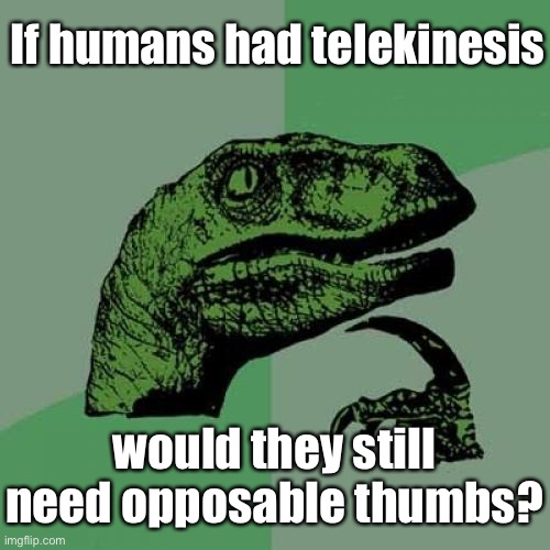 More Useless Though from TD1437 | If humans had telekinesis; would they still need opposable thumbs? | image tagged in memes,philosoraptor | made w/ Imgflip meme maker