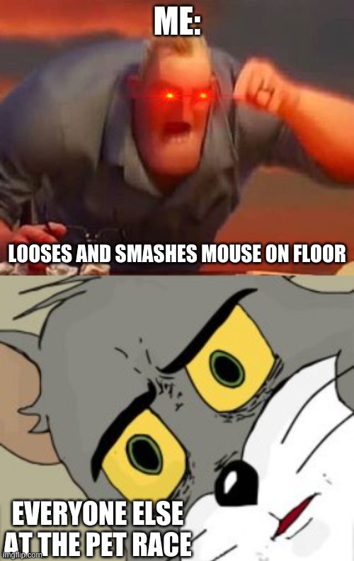 Mouse Smash | ME:; LOOSES AND SMASHES MOUSE ON FLOOR; EVERYONE ELSE AT THE PET RACE | image tagged in mr incredible mad | made w/ Imgflip meme maker
