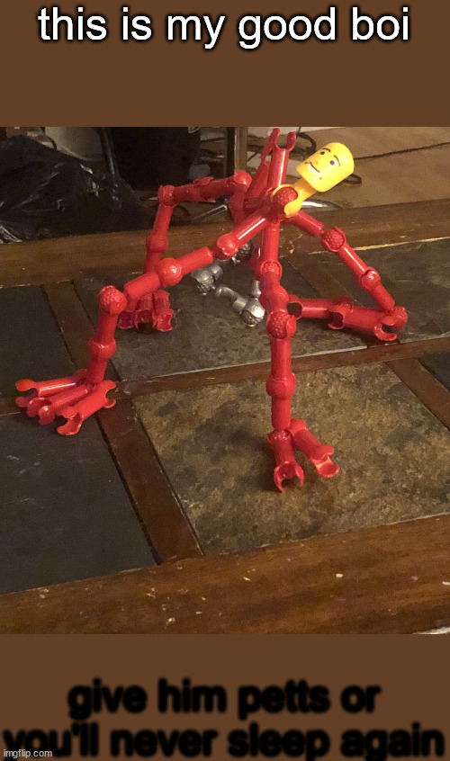 HMMM | this is my good boi; give him petts or you'll never sleep again | image tagged in what even is that | made w/ Imgflip meme maker