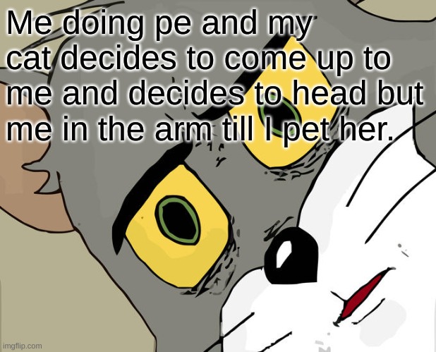 Unsettled Tom Meme | Me doing pe and my cat decides to come up to me and decides to head but me in the arm till I pet her. | image tagged in memes,unsettled tom | made w/ Imgflip meme maker