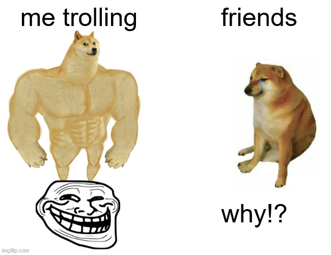 Buff Doge vs. Cheems | me trolling; friends; why!? | image tagged in memes,buff doge vs cheems | made w/ Imgflip meme maker