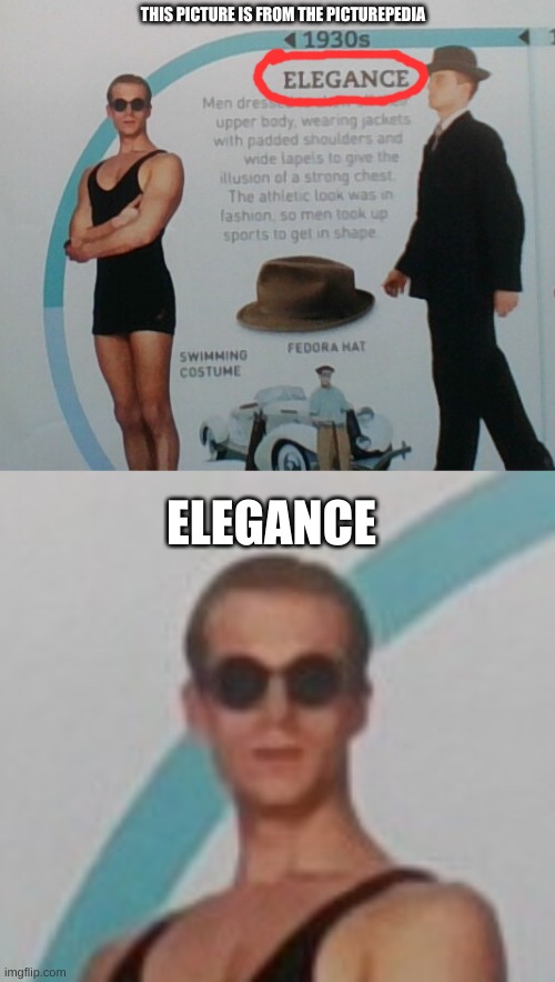 ELEGANCE | THIS PICTURE IS FROM THE PICTUREPEDIA | image tagged in weird | made w/ Imgflip meme maker