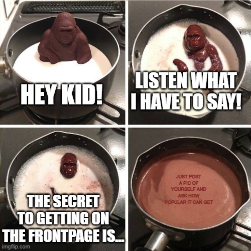 hey Gokudrip ive been on the frontpage a lot and im only 14 | LISTEN WHAT I HAVE TO SAY! HEY KID! JUST POST A PIC OF YOURSELF AND ASK HOW POPULAR IT CAN GET; THE SECRET TO GETTING ON THE FRONTPAGE IS... | image tagged in chocolate gorilla,memes,funny,gifs | made w/ Imgflip meme maker