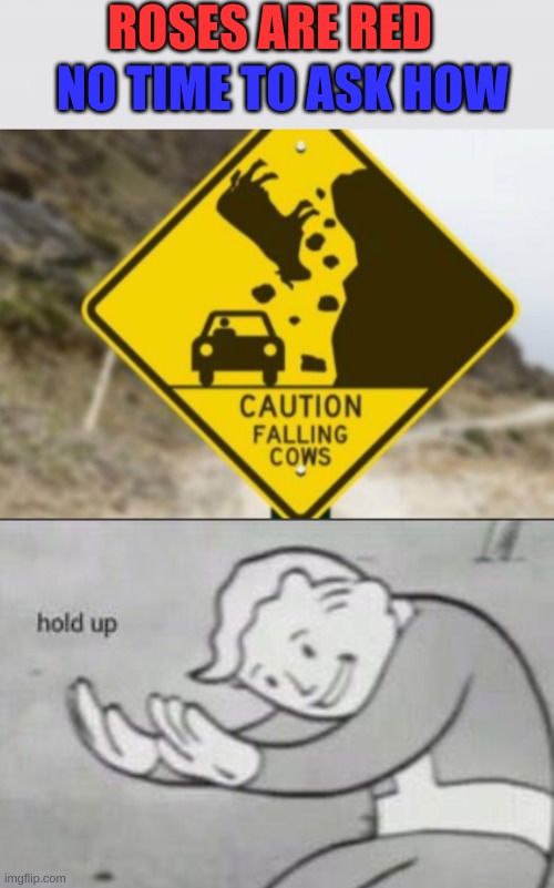 FALLING COWS? | ROSES ARE RED; NO TIME TO ASK HOW | image tagged in weird signs,cow,fallout hold up,not really a gif,memes,funny | made w/ Imgflip meme maker