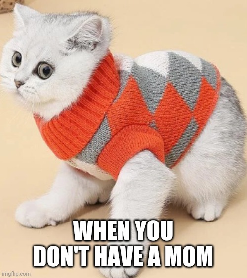 WHEN YOU DON'T HAVE A MOM | made w/ Imgflip meme maker