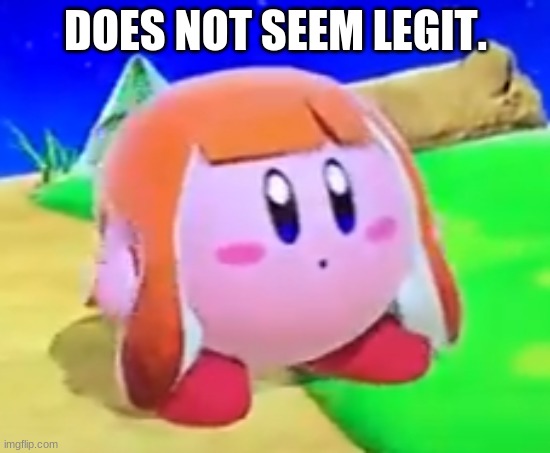 Inkling Kirby | DOES NOT SEEM LEGIT. | image tagged in inkling kirby | made w/ Imgflip meme maker