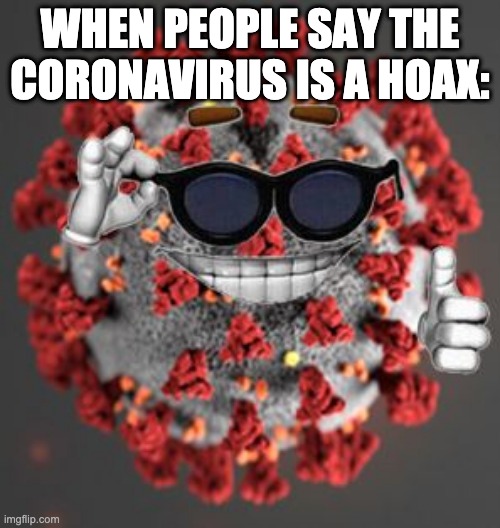 Coronavirus | WHEN PEOPLE SAY THE CORONAVIRUS IS A HOAX: | image tagged in coronavirus | made w/ Imgflip meme maker