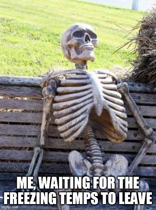 Waiting Skeleton Meme | ME, WAITING FOR THE FREEZING TEMPS TO LEAVE | image tagged in memes,waiting skeleton | made w/ Imgflip meme maker