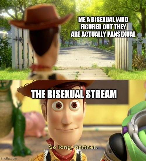 goodbye my friends |  ME A BISEXUAL WHO FIGURED OUT THEY ARE ACTUALLY PANSEXUAL; THE BISEXUAL STREAM | image tagged in so long partner | made w/ Imgflip meme maker