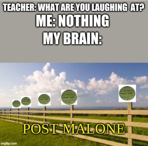 post melon | image tagged in har har | made w/ Imgflip meme maker