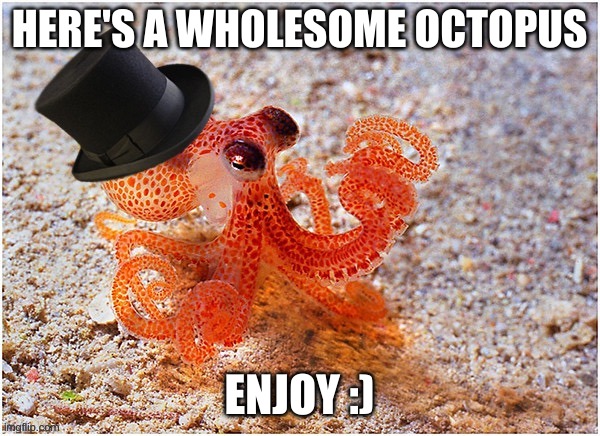 Octopus with top hat | HERE'S A WHOLESOME OCTOPUS; ENJOY :) | image tagged in octopus with top hat | made w/ Imgflip meme maker