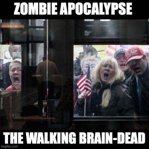 Trump Michigan Protesters | ZOMBIE APOCALYPSE; THE WALKING BRAIN-DEAD | image tagged in trump michigan protesters | made w/ Imgflip meme maker