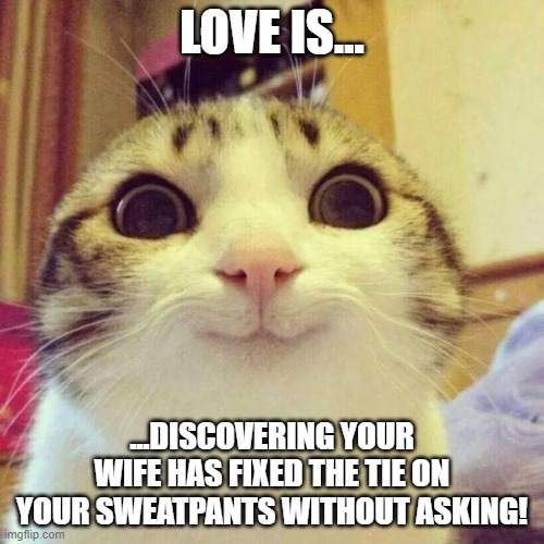 love is... | LOVE IS... ...DISCOVERING YOUR WIFE HAS FIXED THE TIE ON YOUR SWEATPANTS WITHOUT ASKING! | image tagged in memes,smiling cat | made w/ Imgflip meme maker