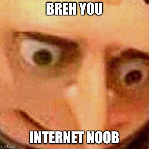 Gru | BREH YOU INTERNET NOOB | image tagged in gru | made w/ Imgflip meme maker