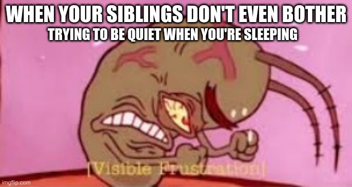 ME | WHEN YOUR SIBLINGS DON'T EVEN BOTHER; TRYING TO BE QUIET WHEN YOU'RE SLEEPING | image tagged in visible frustration | made w/ Imgflip meme maker