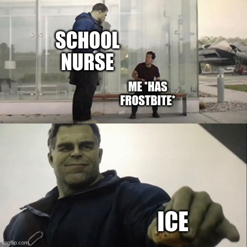 dat ice | SCHOOL NURSE; ME *HAS FROSTBITE*; ICE | image tagged in funny,pie charts,distracted boyfriend | made w/ Imgflip meme maker