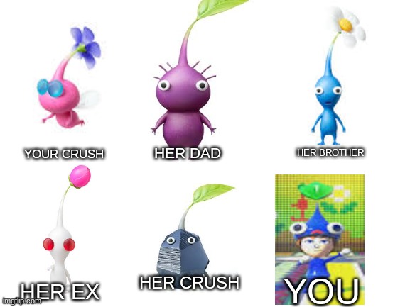 Pikmin | HER DAD; HER BROTHER; YOUR CRUSH; HER CRUSH; YOU; HER EX | image tagged in blank white template,pikmin,your crush | made w/ Imgflip meme maker
