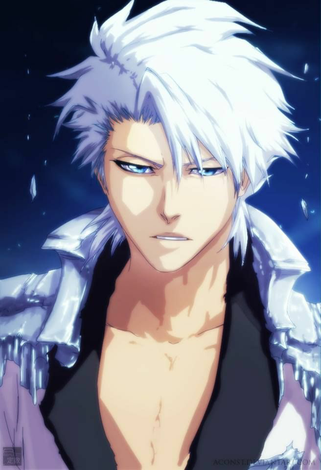 High Quality Bleach Toshiro Hitsugaya adult 2 Blank Meme Template