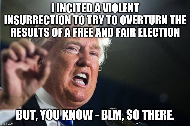 donald trump | I INCITED A VIOLENT INSURRECTION TO TRY TO OVERTURN THE RESULTS OF A FREE AND FAIR ELECTION BUT, YOU KNOW - BLM, SO THERE. | image tagged in donald trump | made w/ Imgflip meme maker